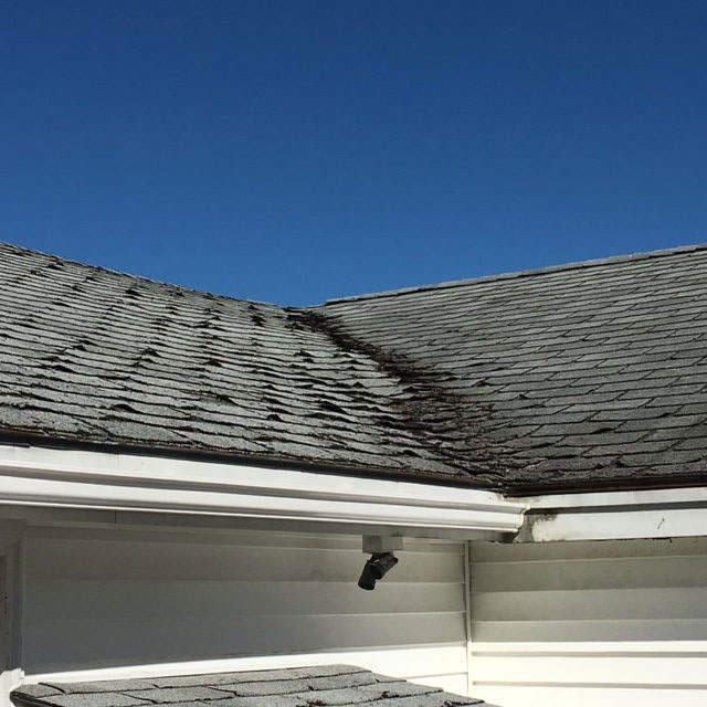 shingles-roof